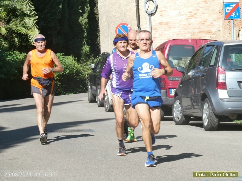 Brisighella: Podistiche brisighellesi - 25 agosto 2024