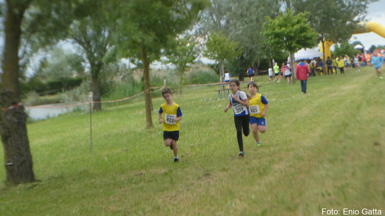 Filo: Cross Provinciale UISP 2025 - prova 4 di 6 - 07 maggio 2025