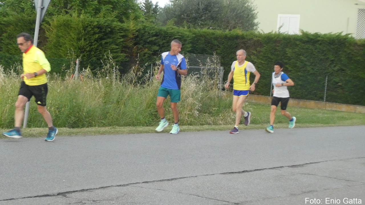 Alfonsine: Camminata San Carlo e Promesse- 09 maggio 2025