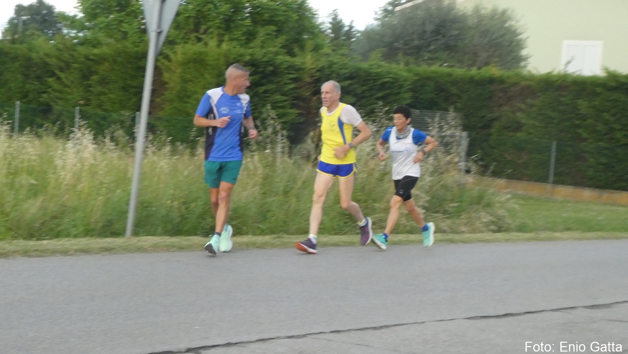 Alfonsine: Camminata San Carlo e Promesse- 09 maggio 2025