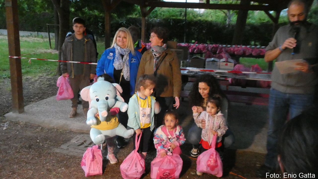 Alfonsine: Camminata San Carlo e Promesse- 09 maggio 2025