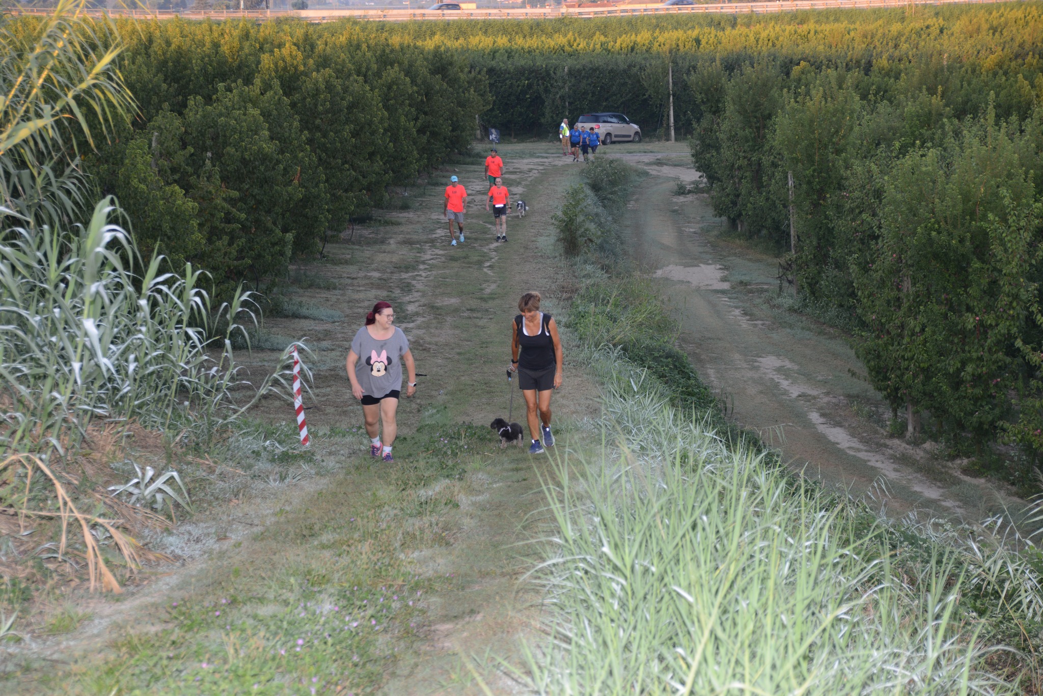Solarolo: Alba Running - 10 agosto 2025