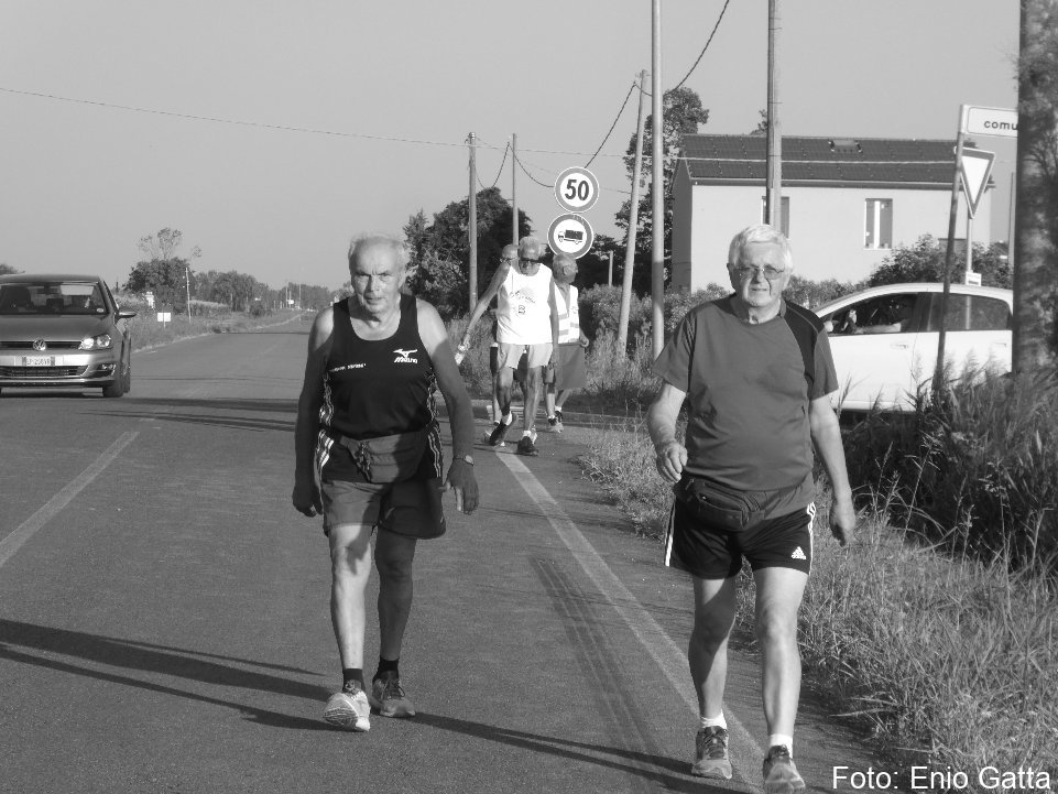 Voltana: La camminata dell'Arginino - 18 agosto 2025