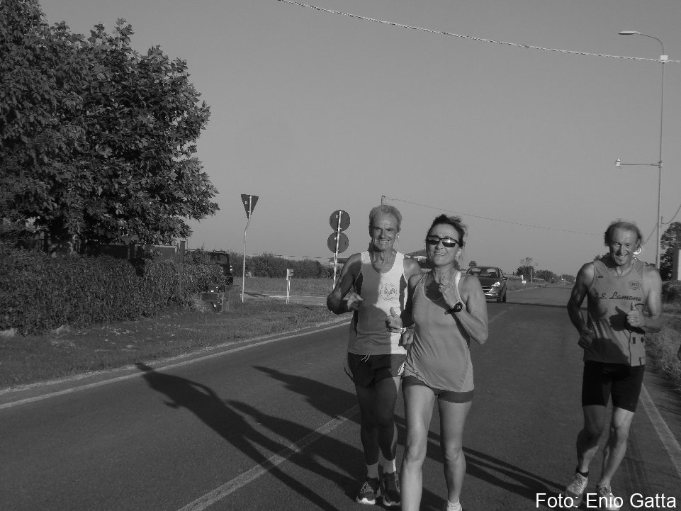 Voltana: La camminata dell'Arginino - 18 agosto 2025