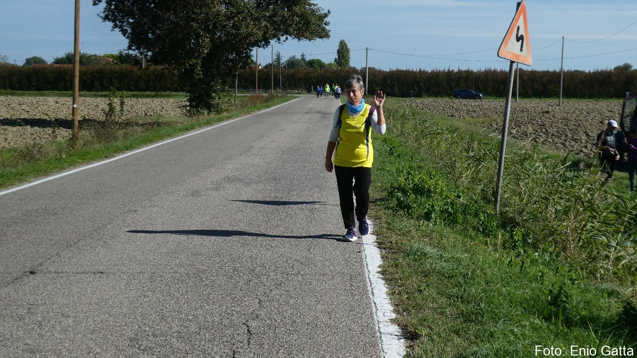 Piangipane: Podistica di Piangipane - 04 ottobre 2025