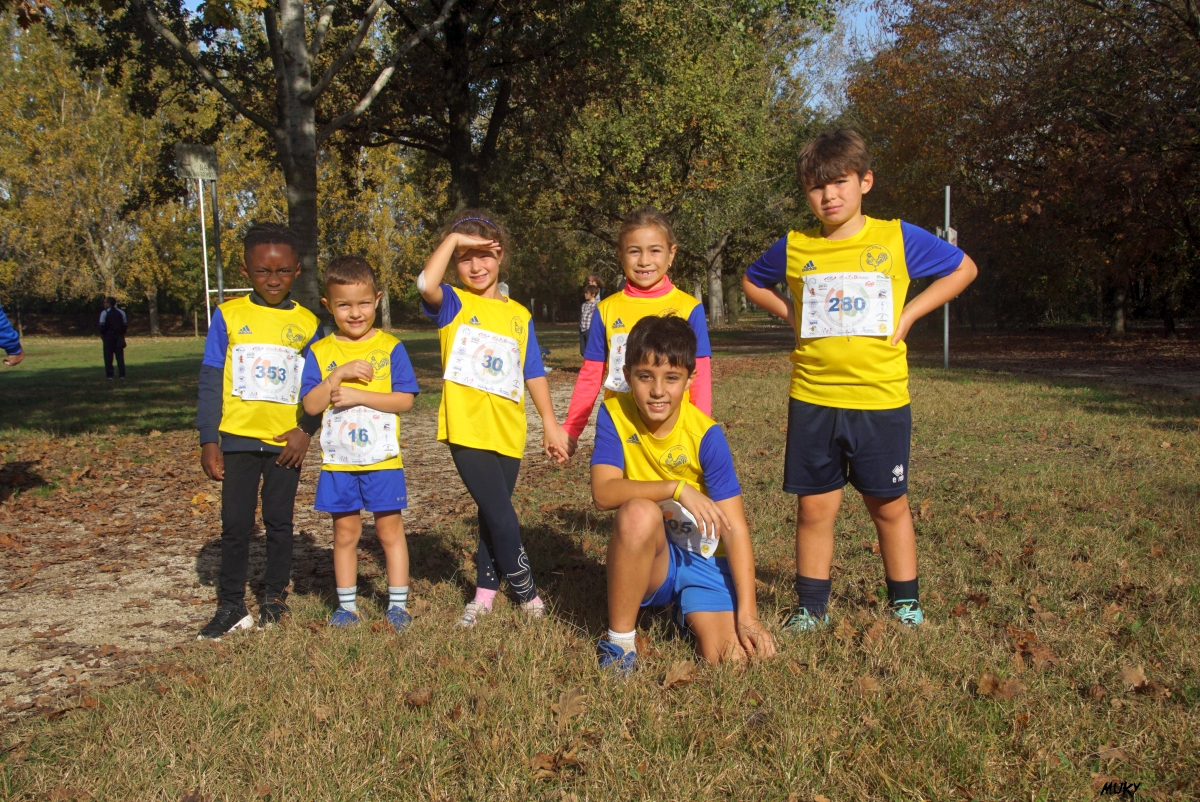 Ravenna - Parco Teodorico: Run to Win - 02 novembre 2025