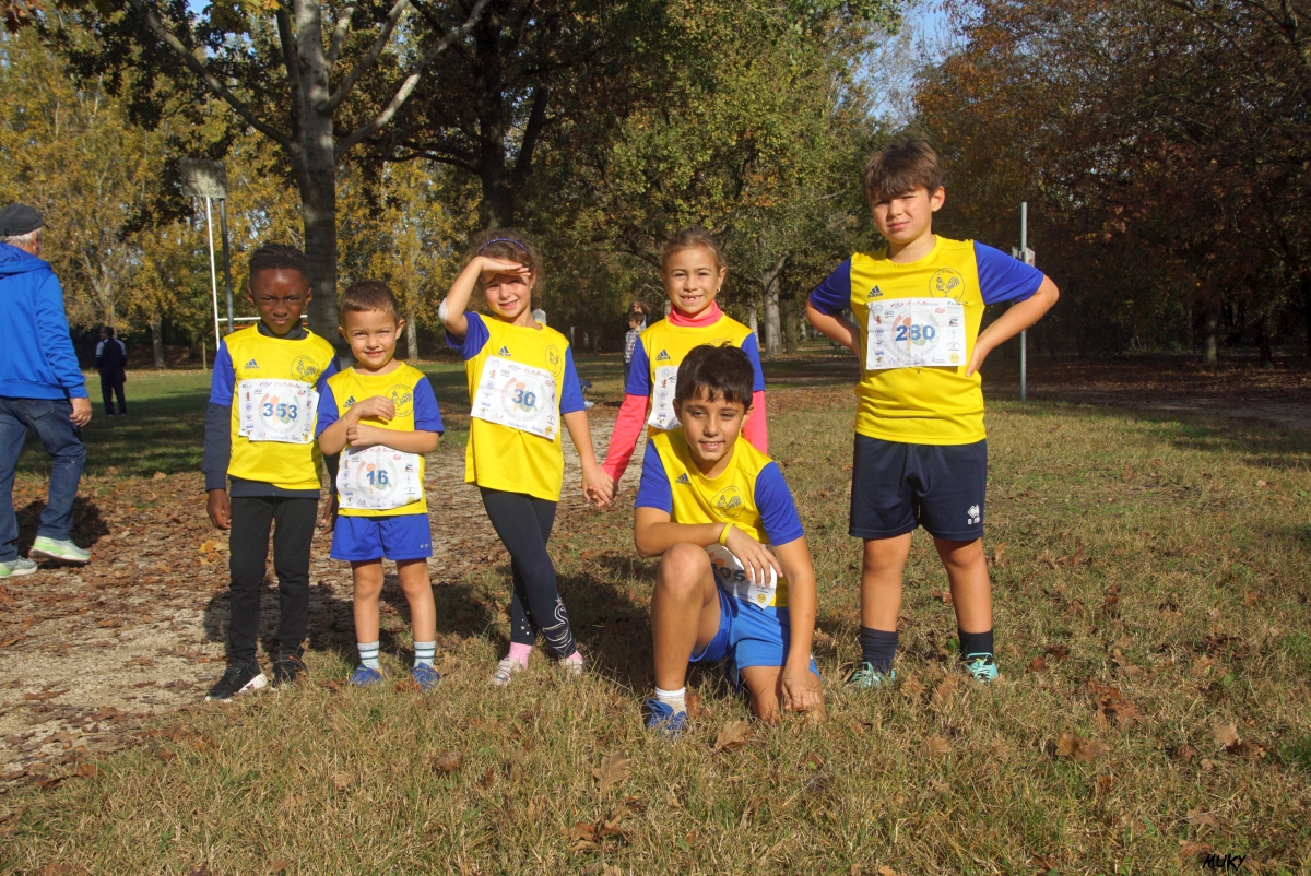 Ravenna - Parco Teodorico: Run to Win - 02 novembre 2025