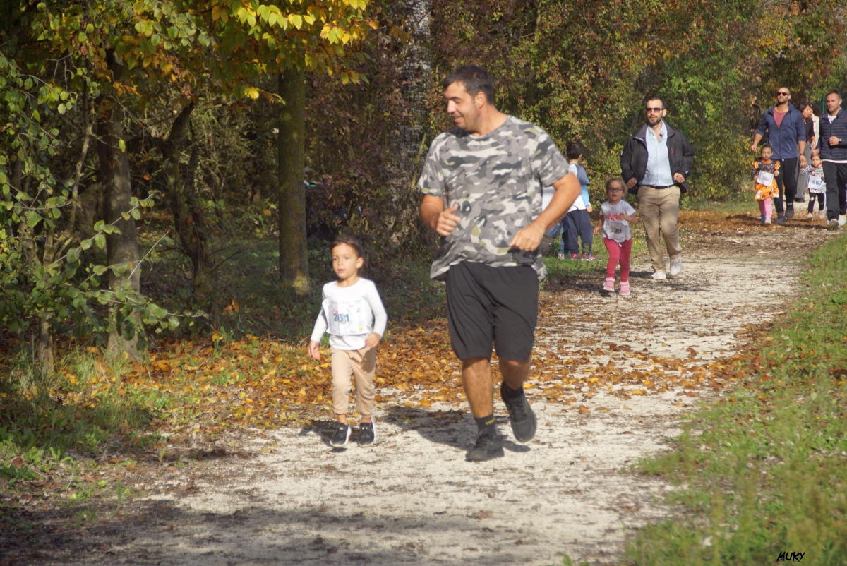 Ravenna - Parco Teodorico: Run to Win - 02 novembre 2025