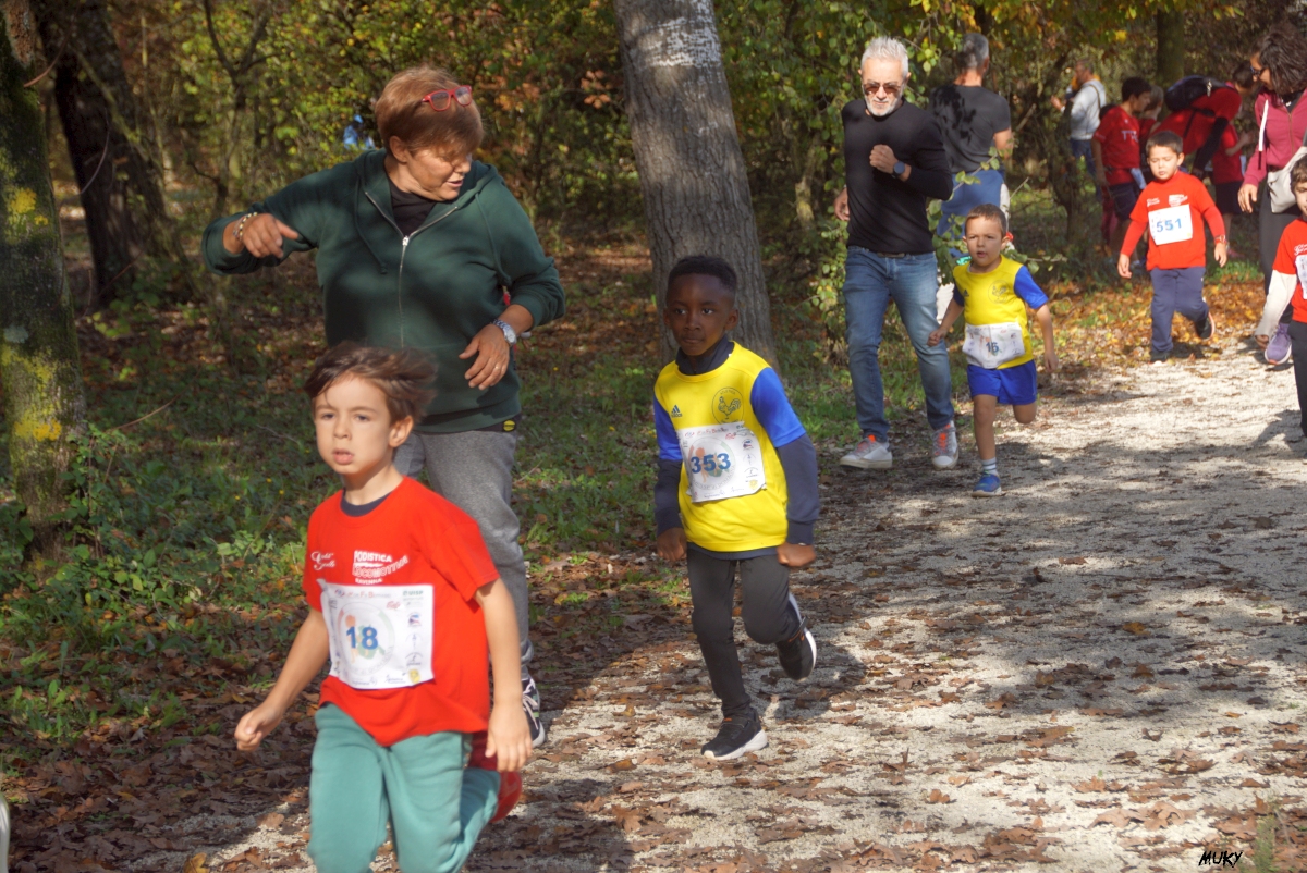 Ravenna - Parco Teodorico: Run to Win - 02 novembre 2025