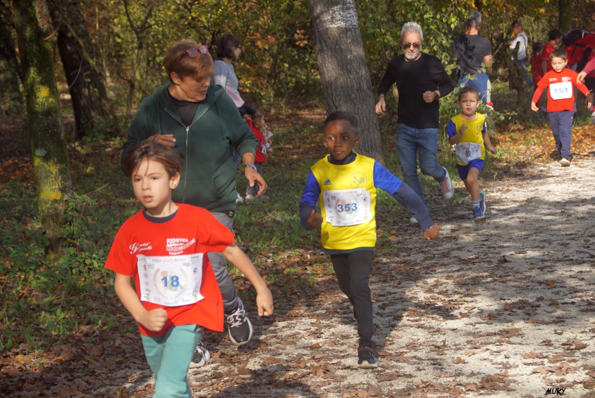 Ravenna - Parco Teodorico: Run to Win - 02 novembre 2025