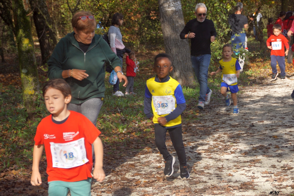 Ravenna - Parco Teodorico: Run to Win - 02 novembre 2025