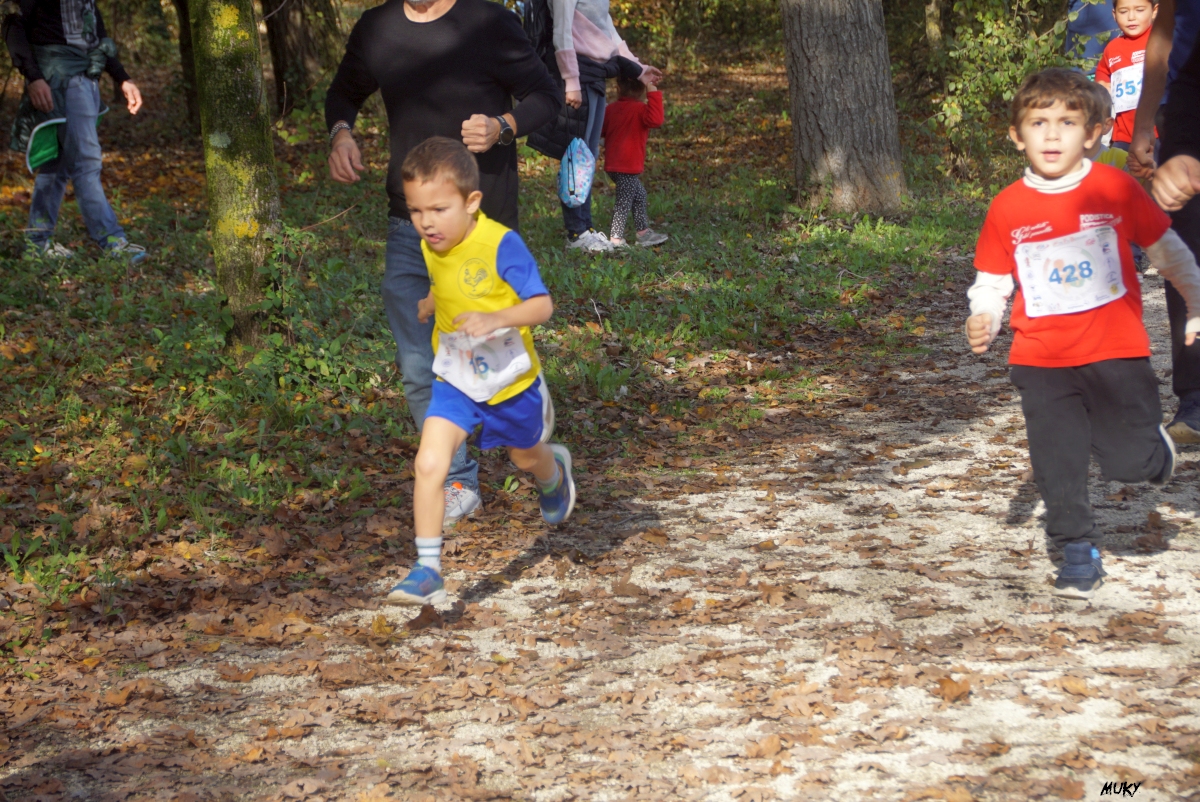 Ravenna - Parco Teodorico: Run to Win - 02 novembre 2025