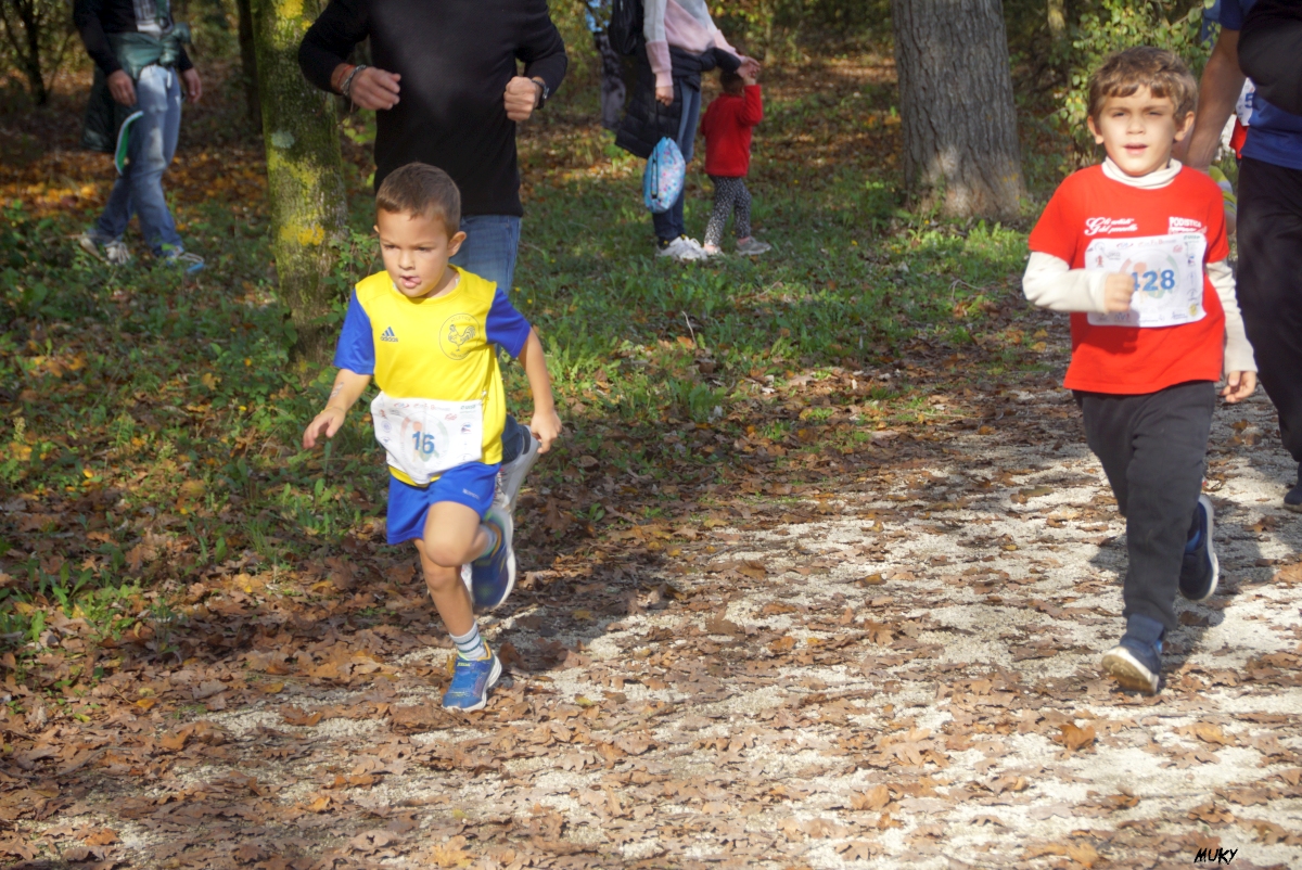 Ravenna - Parco Teodorico: Run to Win - 02 novembre 2025