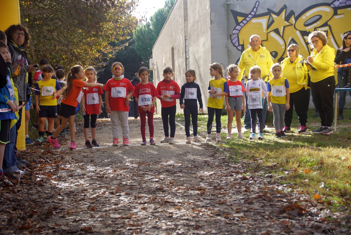 Ravenna - Parco Teodorico: Run to Win - 02 novembre 2025