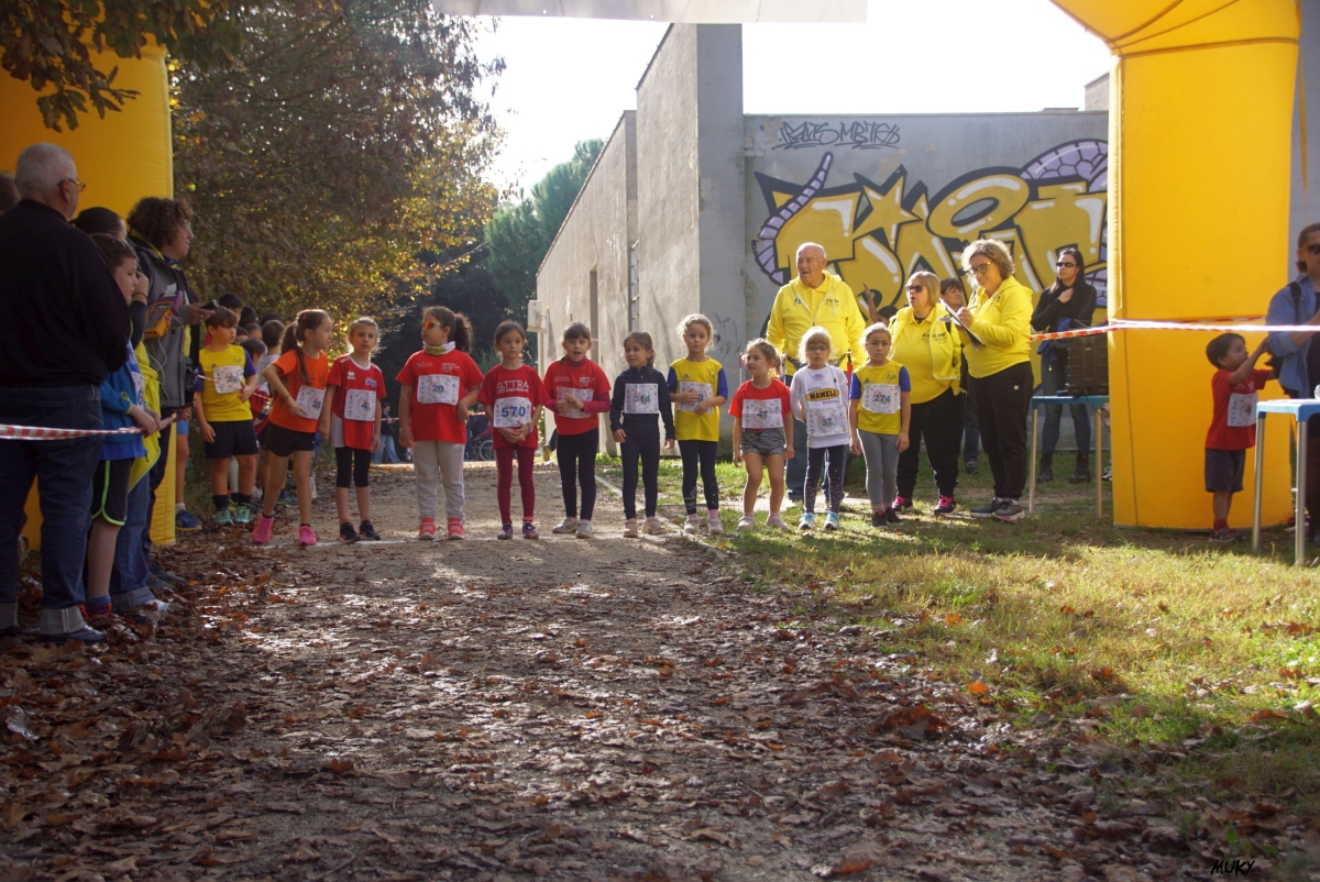 Ravenna - Parco Teodorico: Run to Win - 02 novembre 2025