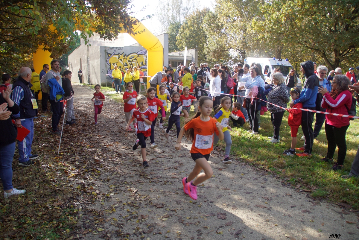 Ravenna - Parco Teodorico: Run to Win - 02 novembre 2025