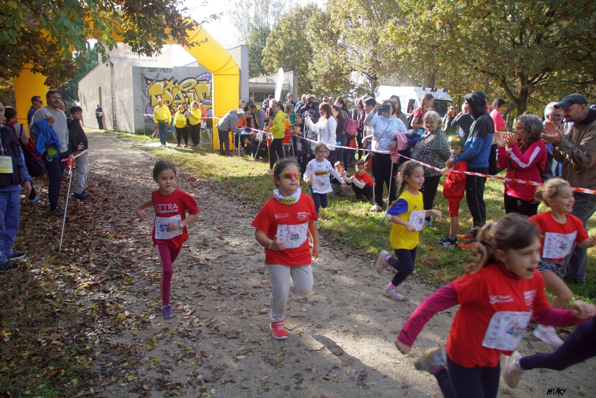 Ravenna - Parco Teodorico: Run to Win - 02 novembre 2025