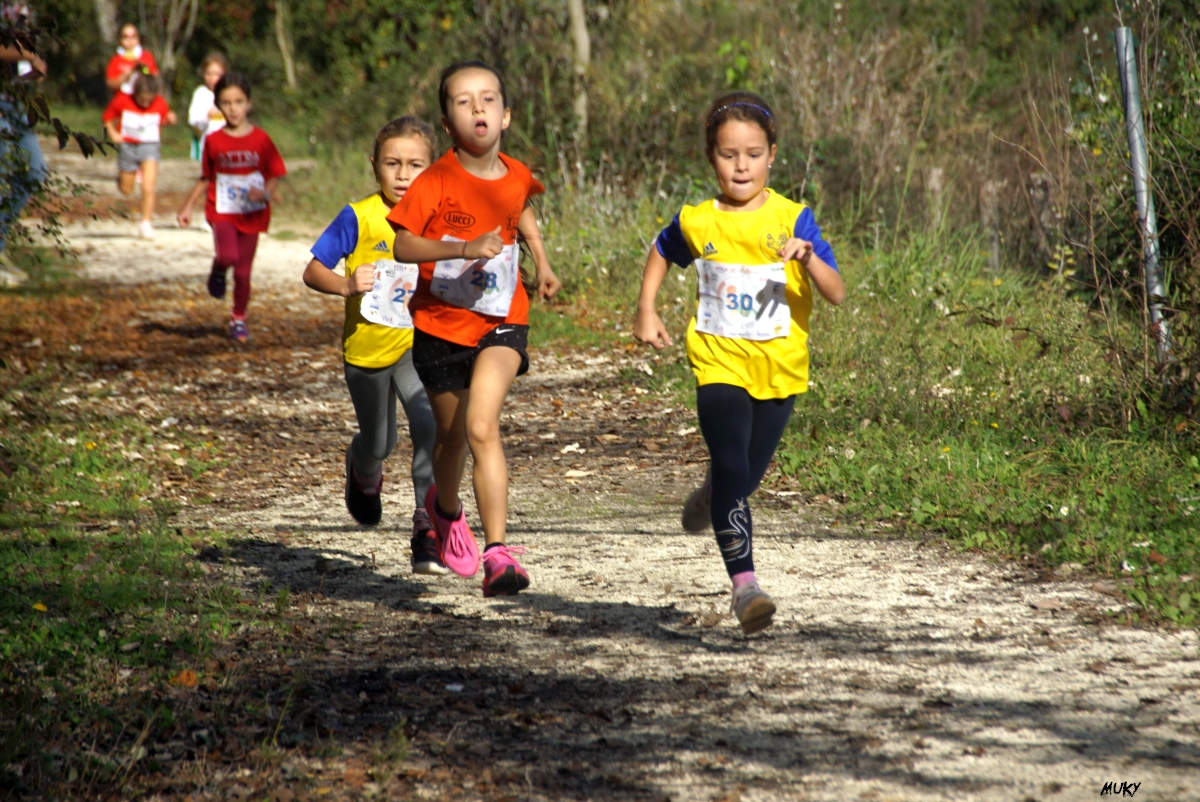 Ravenna - Parco Teodorico: Run to Win - 02 novembre 2025