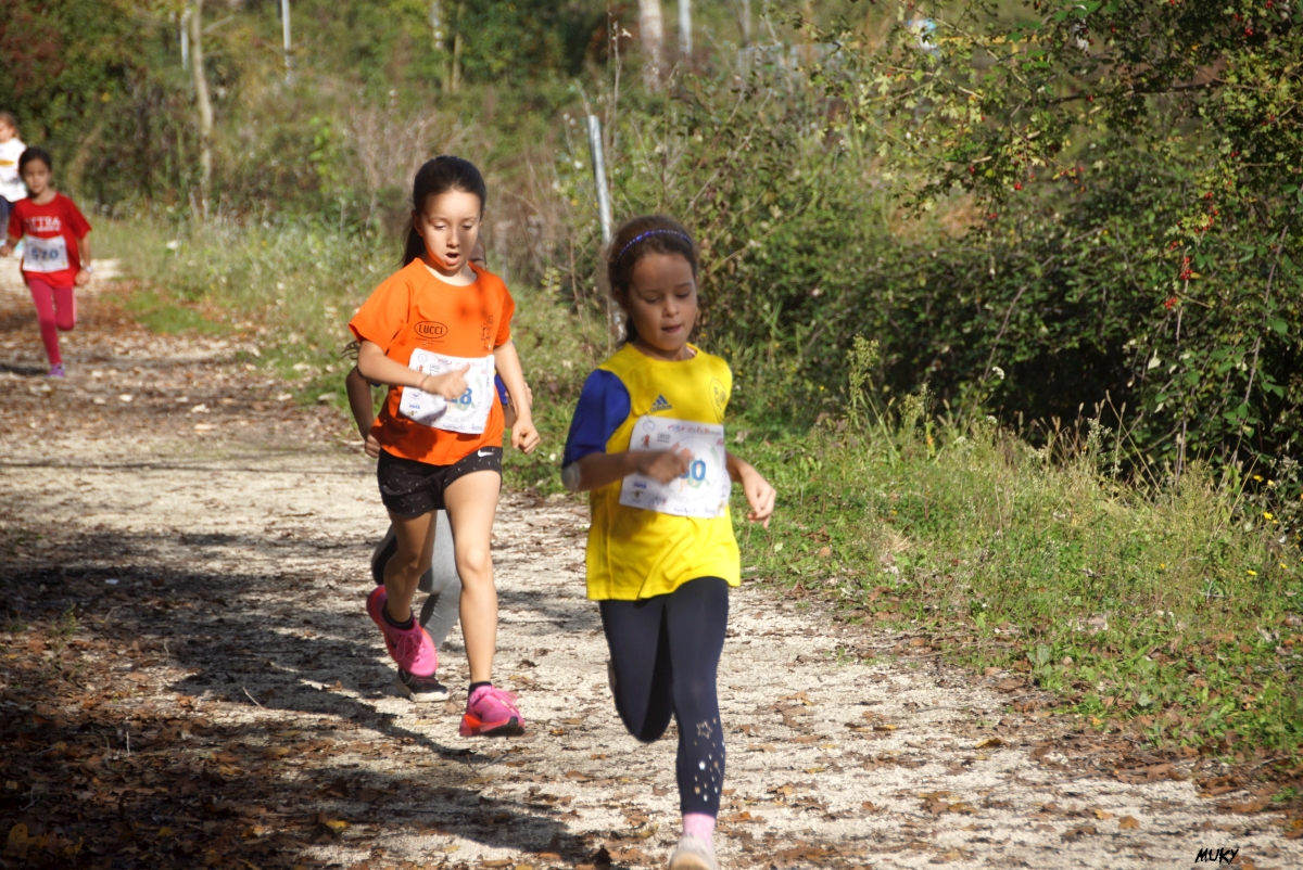 Ravenna - Parco Teodorico: Run to Win - 02 novembre 2025