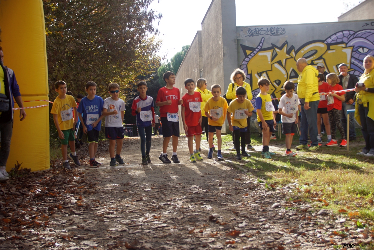 Ravenna - Parco Teodorico: Run to Win - 02 novembre 2025