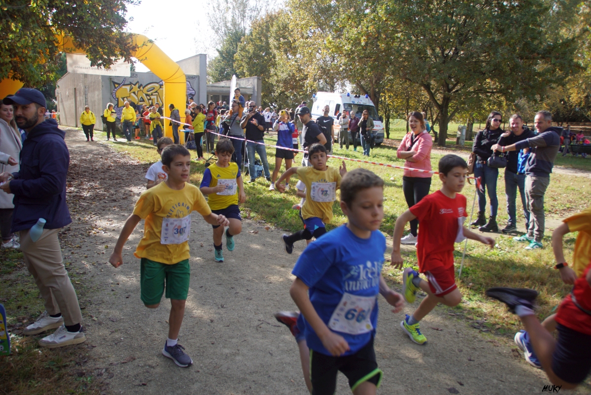 Ravenna - Parco Teodorico: Run to Win - 02 novembre 2025