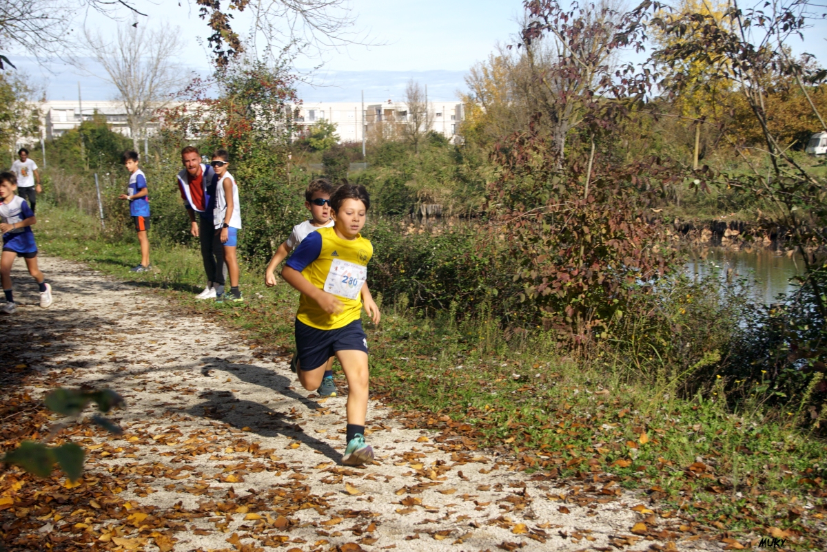 Ravenna - Parco Teodorico: Run to Win - 02 novembre 2025