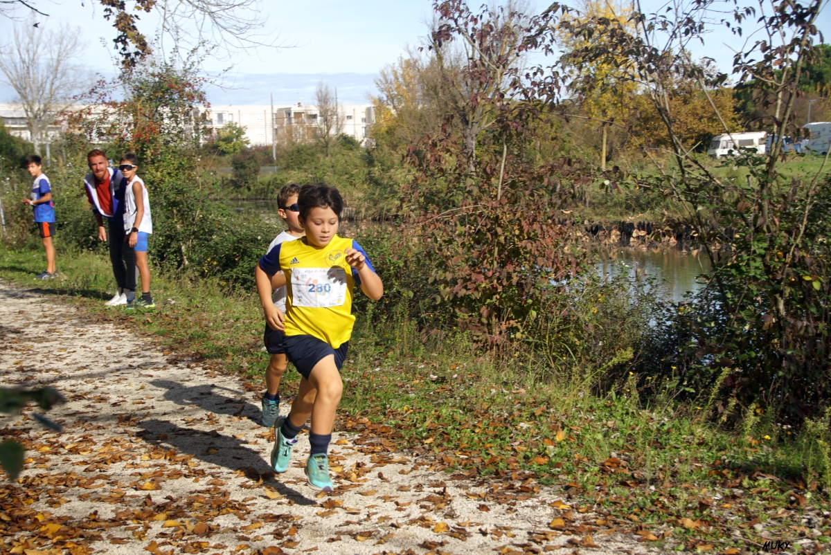 Ravenna - Parco Teodorico: Run to Win - 02 novembre 2025