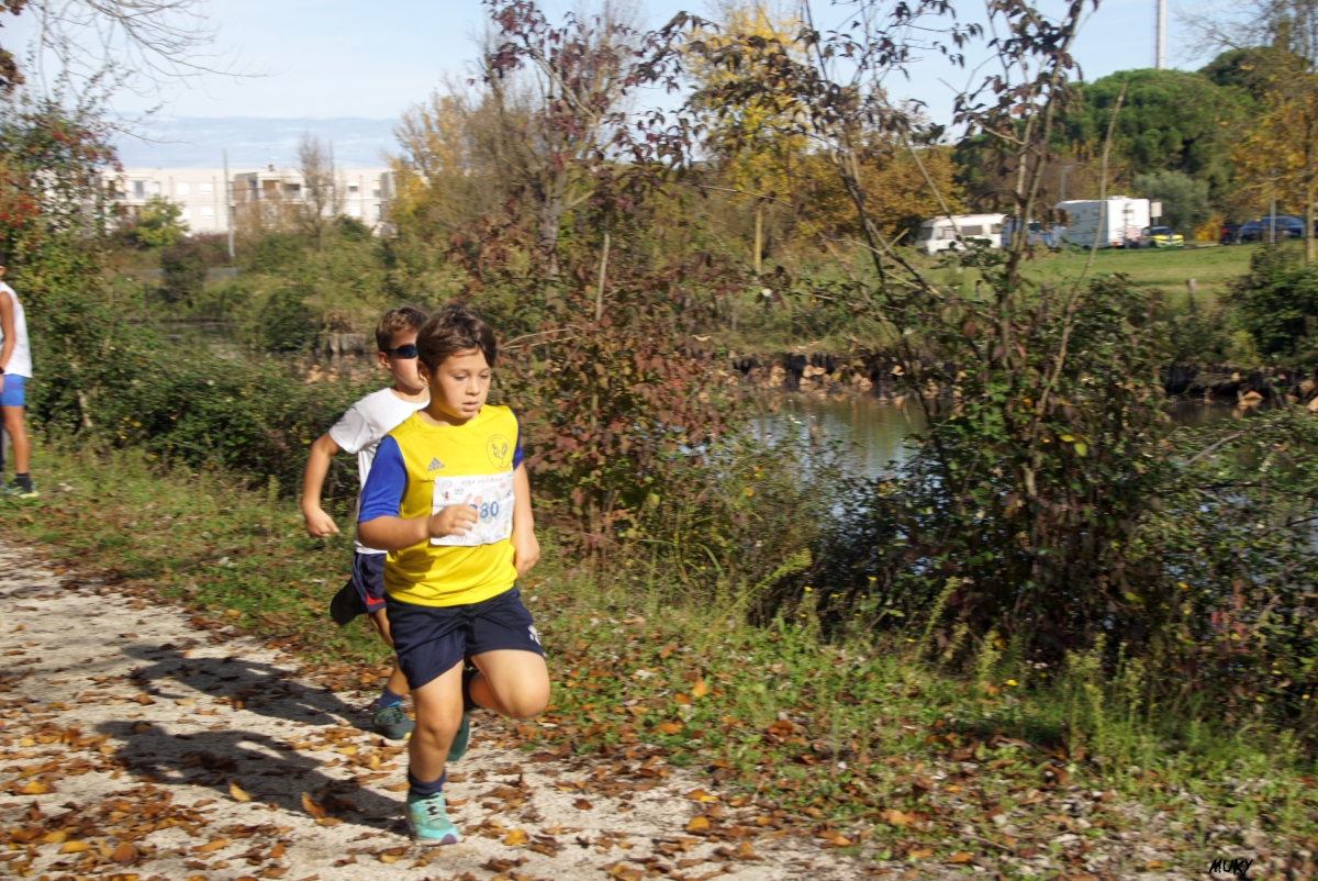 Ravenna - Parco Teodorico: Run to Win - 02 novembre 2025