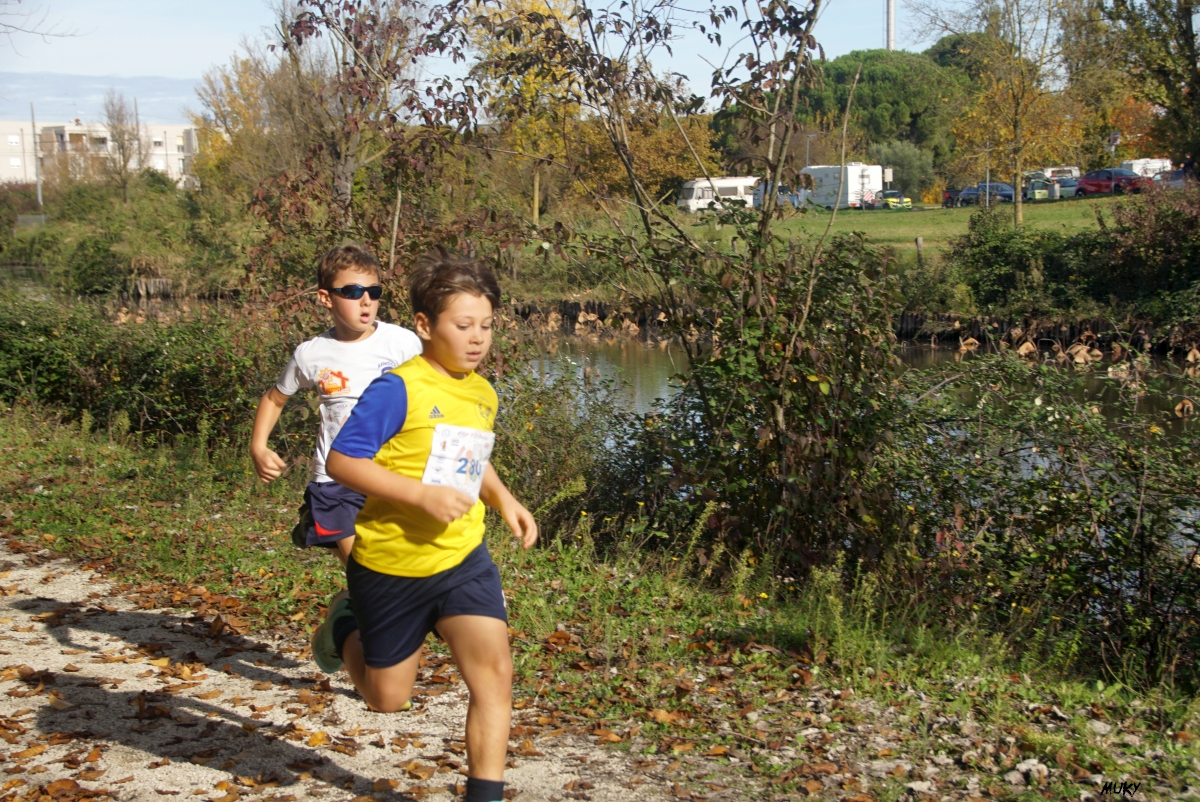 Ravenna - Parco Teodorico: Run to Win - 02 novembre 2025
