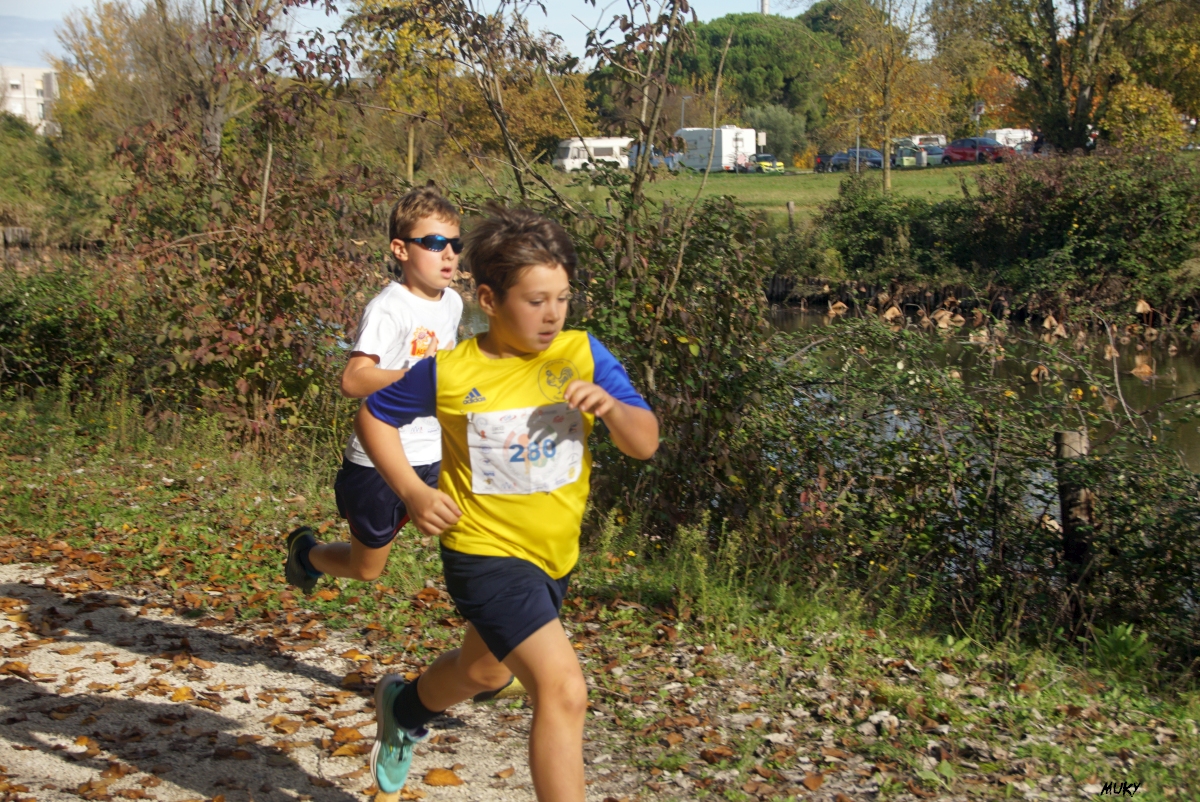 Ravenna - Parco Teodorico: Run to Win - 02 novembre 2025