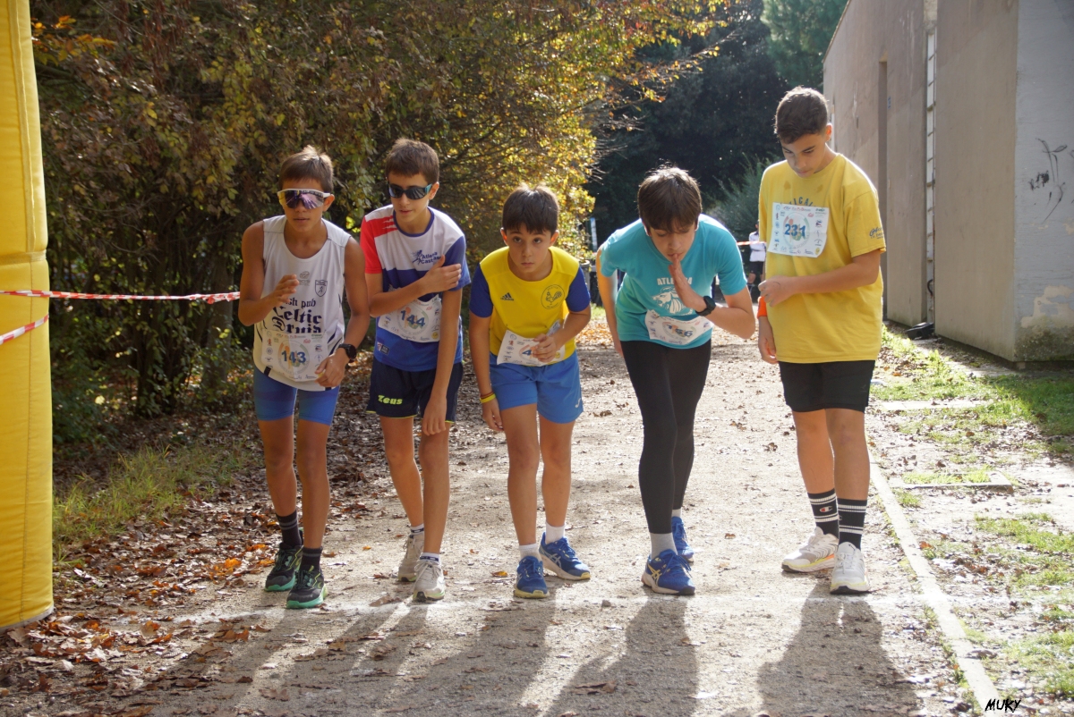 Ravenna - Parco Teodorico: Run to Win - 02 novembre 2025