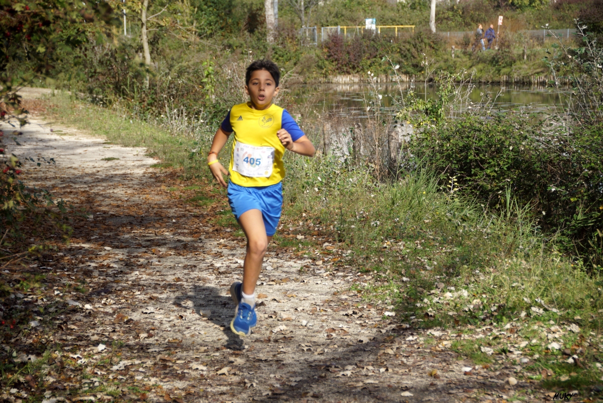 Ravenna - Parco Teodorico: Run to Win - 02 novembre 2025