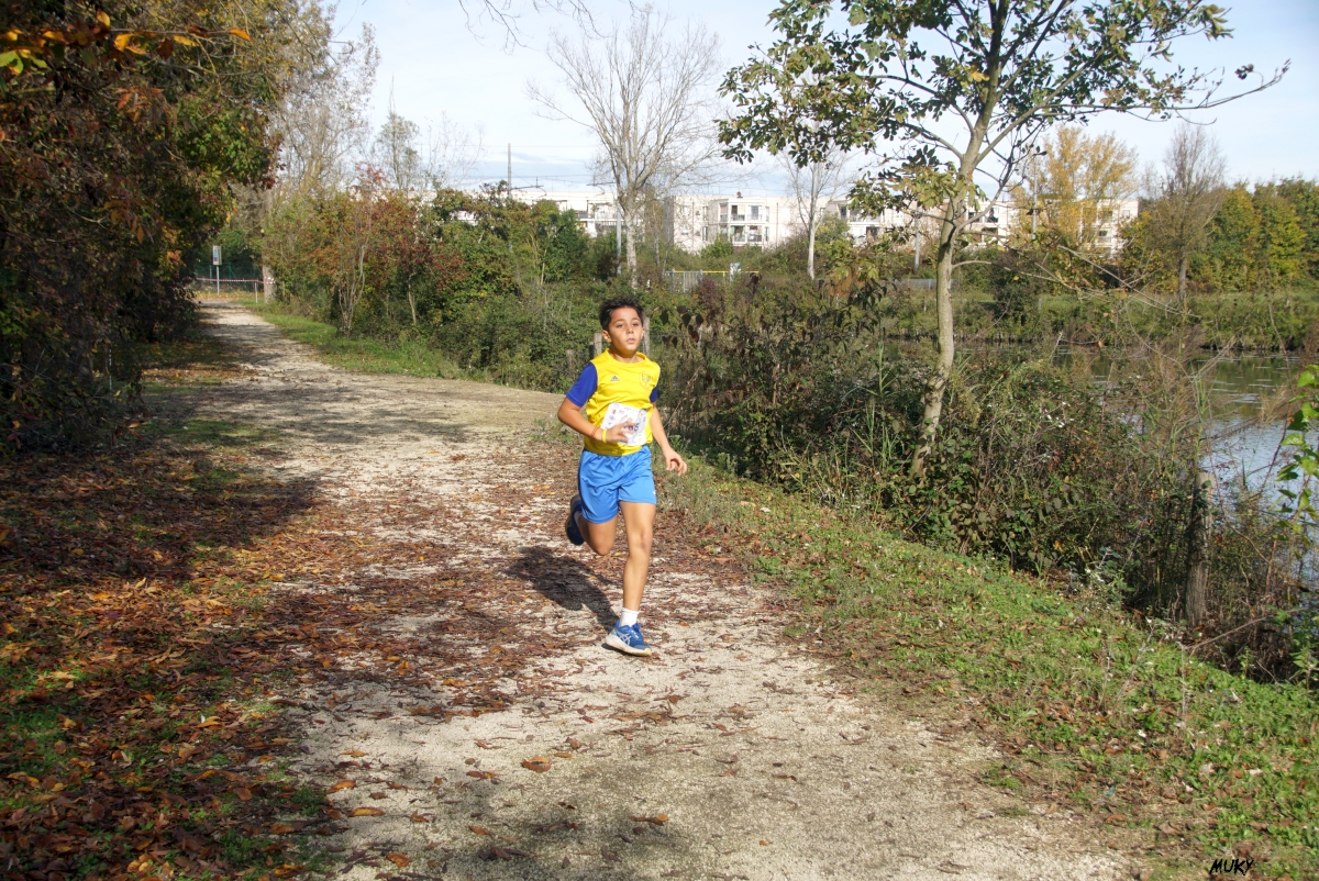 Ravenna - Parco Teodorico: Run to Win - 02 novembre 2025