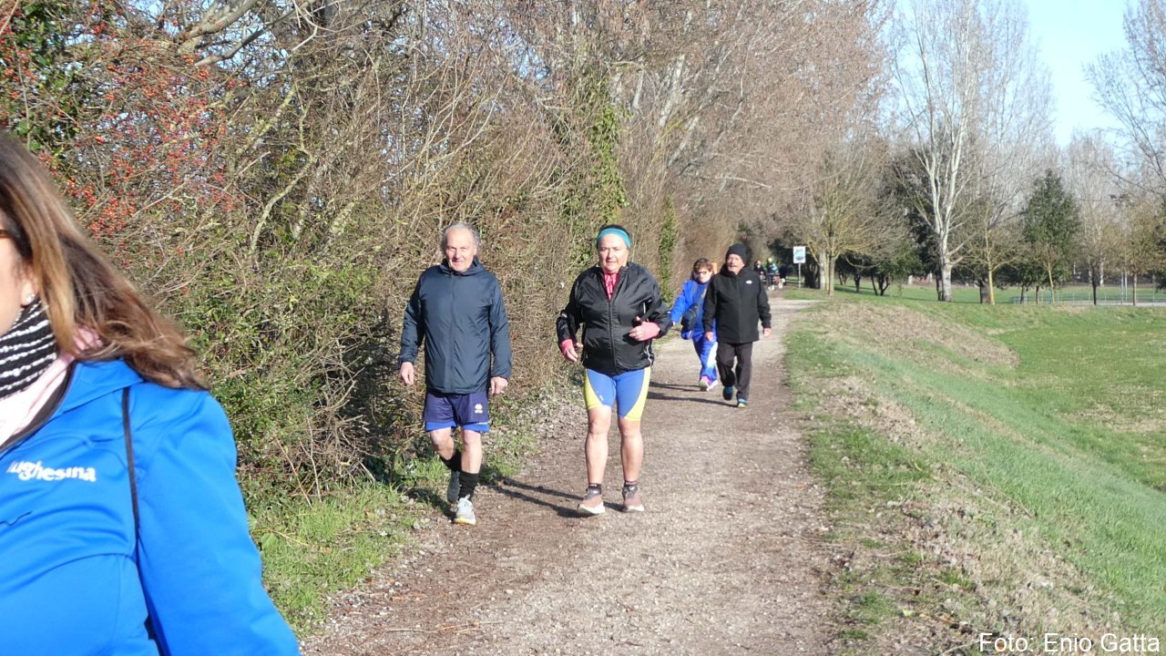 Ravenna: Camminata al Parco Teodorico - 22 febbraio 2026