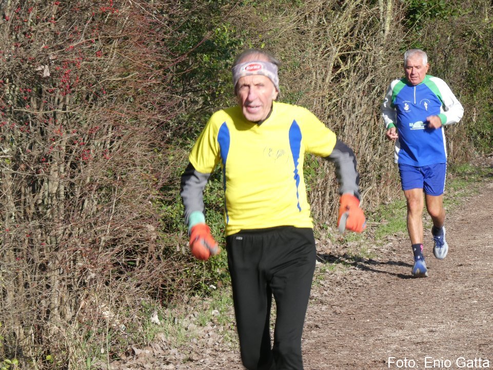 Ravenna: Camminata al Parco Teodorico - 22 febbraio 2026