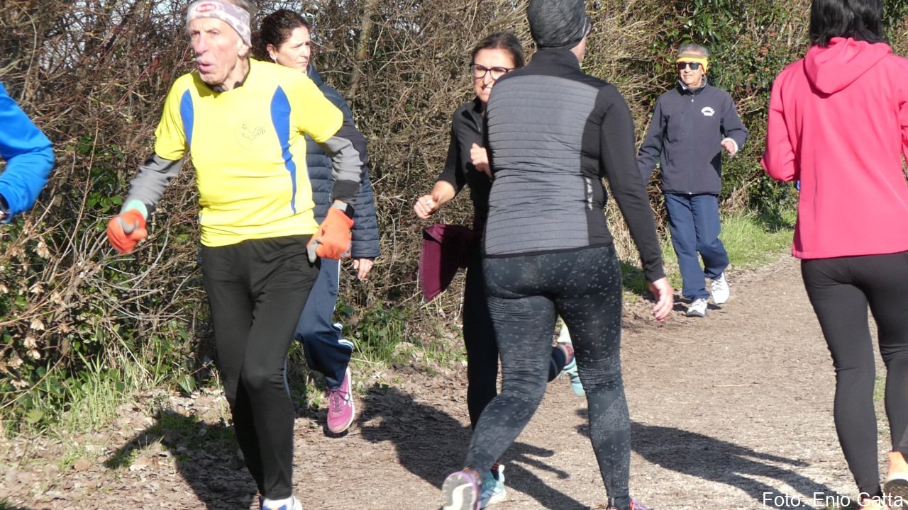 Ravenna: Camminata al Parco Teodorico - 22 febbraio 2026