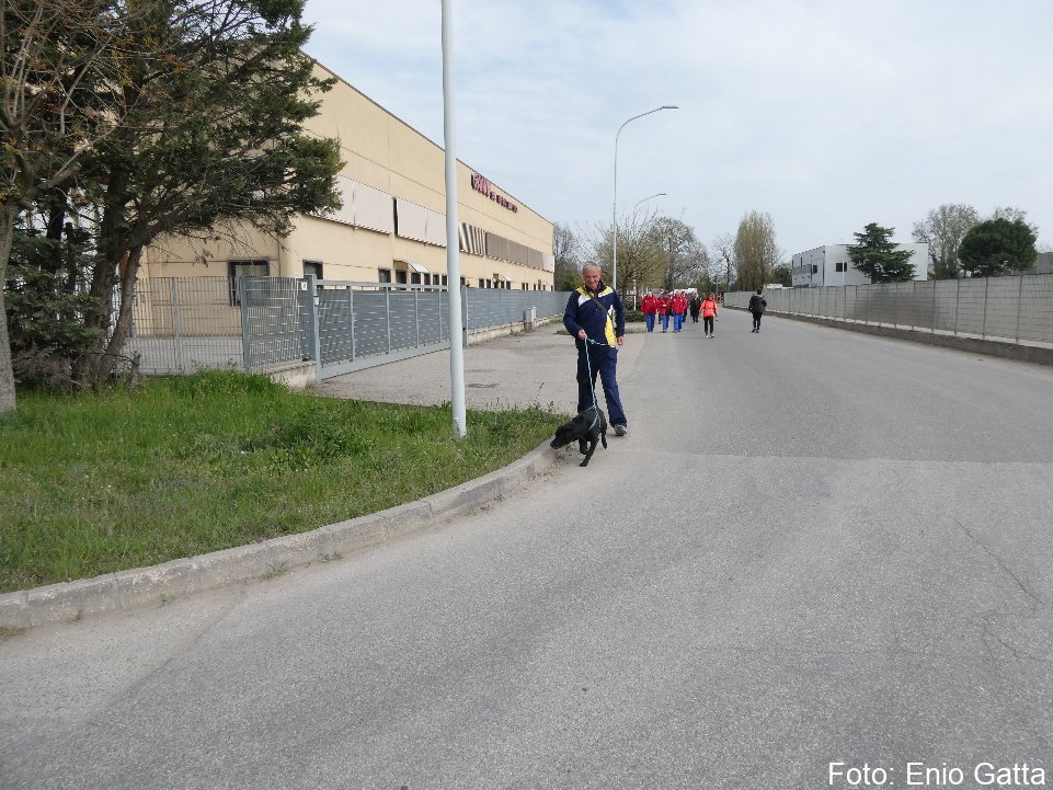 Lugo: Camminata Loris - 21 marzo 2026