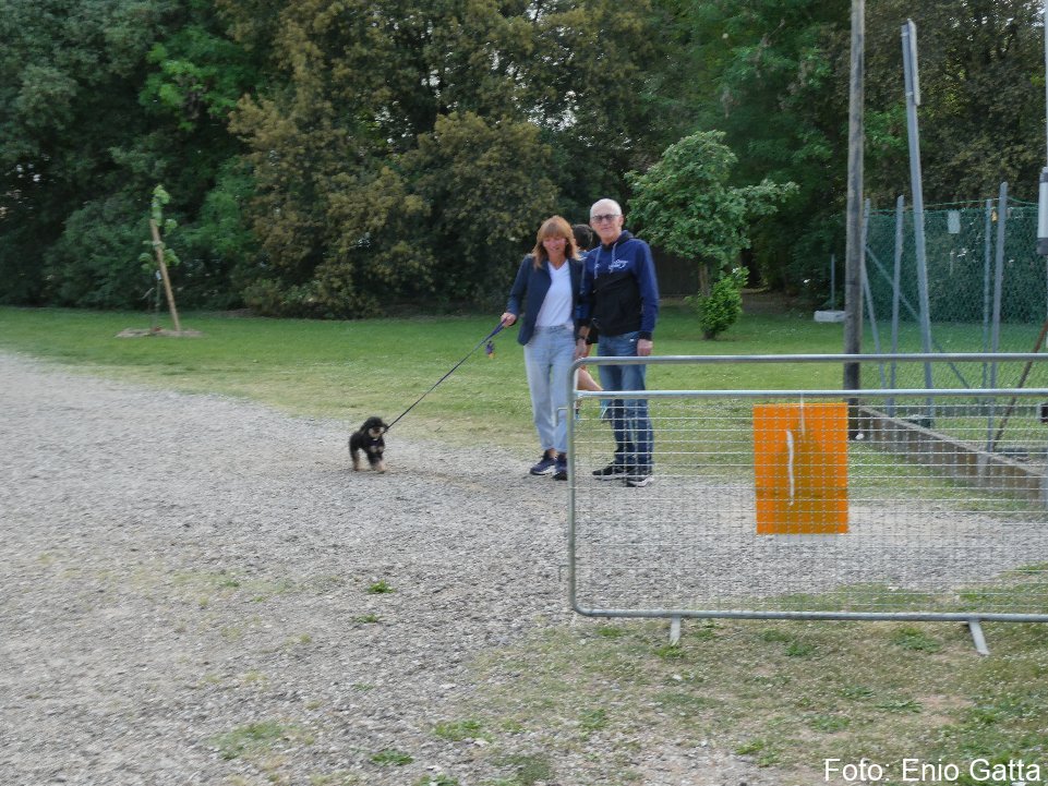 Cotignola: Camminata in mezzo al verde - 4 maggio 2026