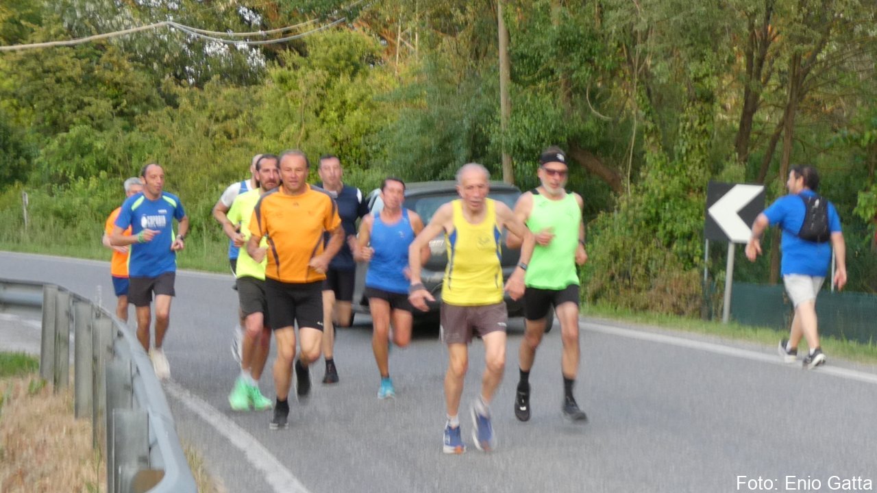 Cotignola: Camminata in mezzo al verde - 4 maggio 2026