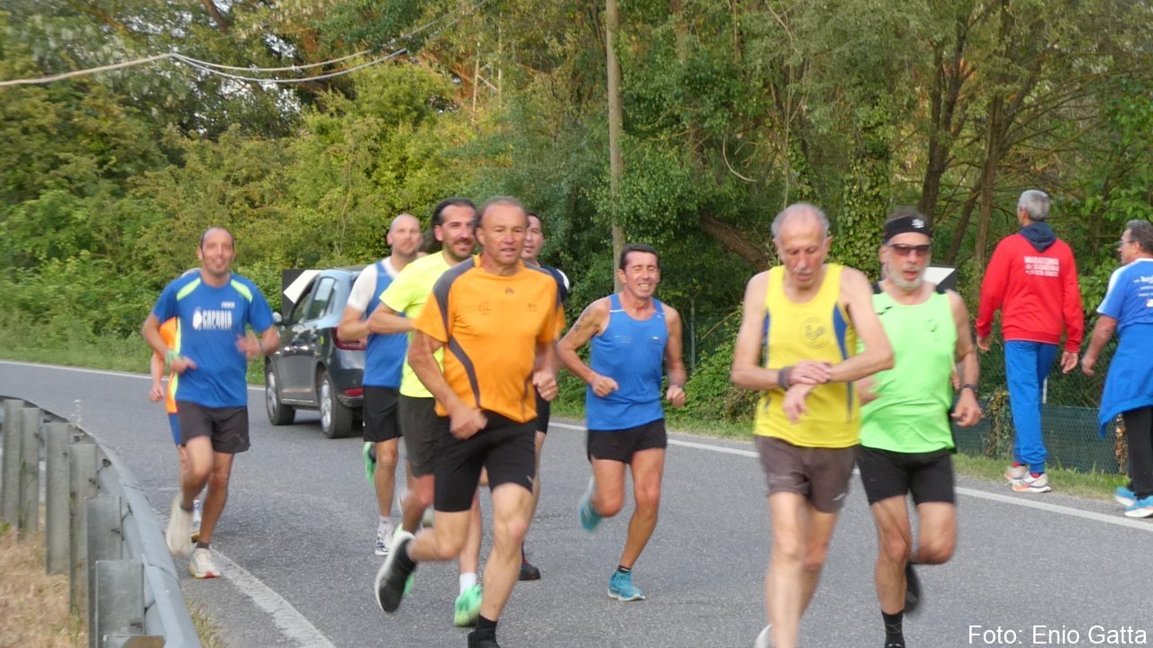 Cotignola: Camminata in mezzo al verde - 4 maggio 2026
