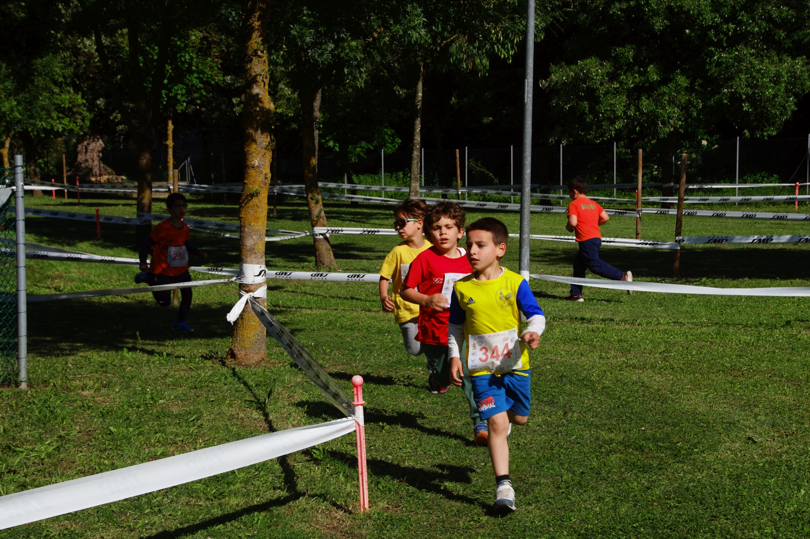 Godo: Promesse al Bike Park - 16 maggio 2026